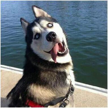 发淘宝优惠券怎么赚钱,淘宝内部优惠券群骗局