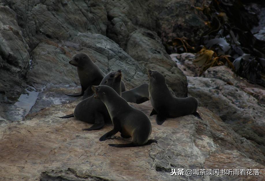 13天自驾新西兰，这个不缺蓝天与绿草的国度无比的热情富有生命力