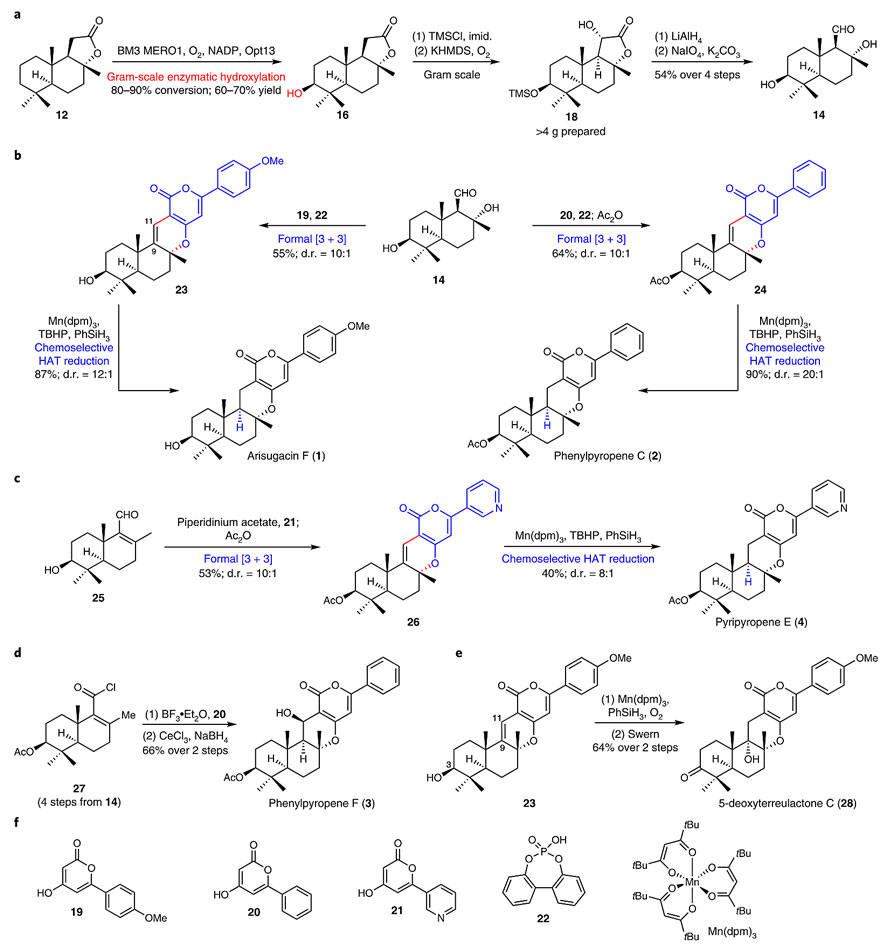 生物合成和定向催化合成,生物合成反应和分解反应解析