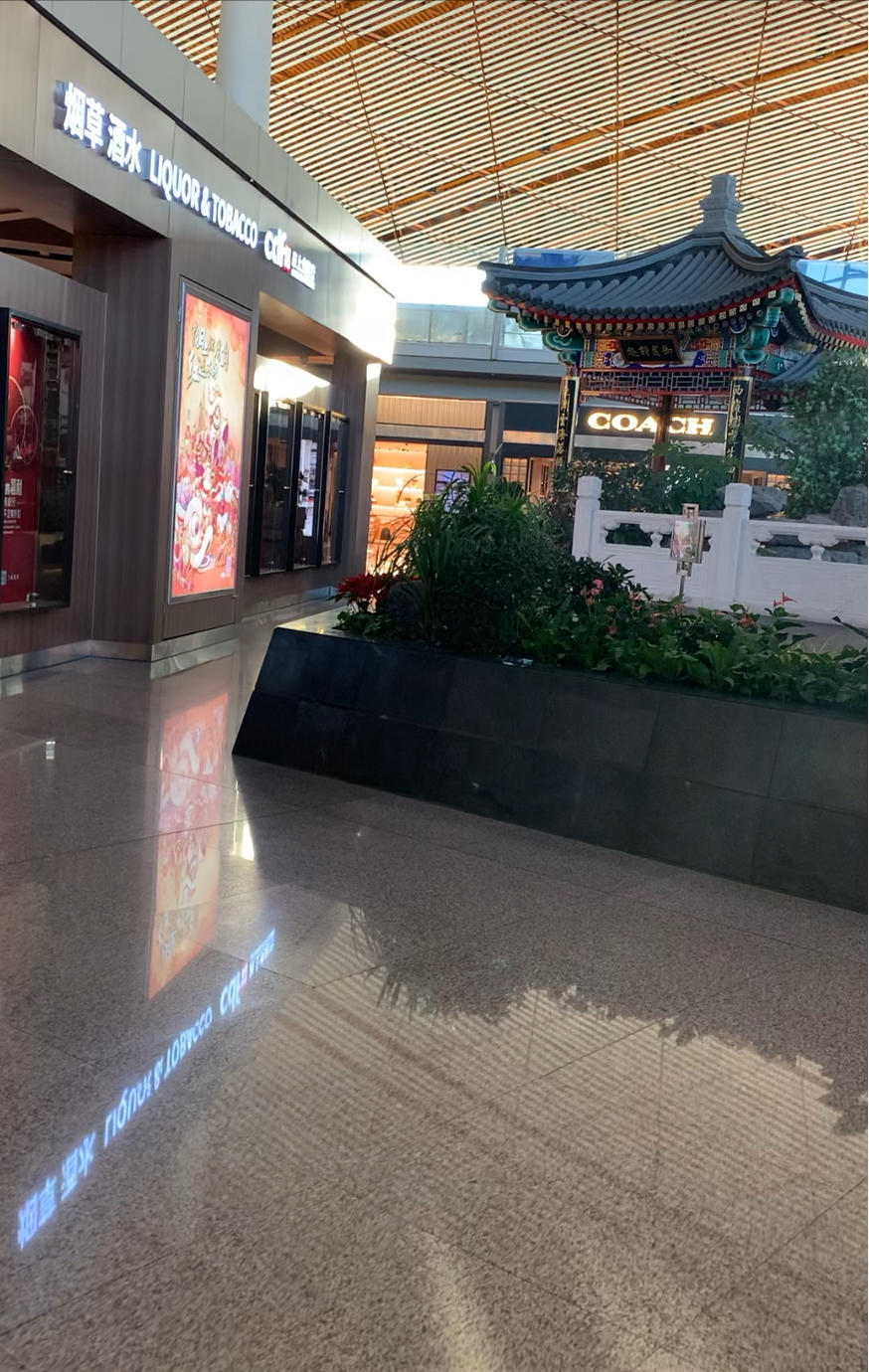 疫情中，从北京到洛杉矶，长途飞行的我