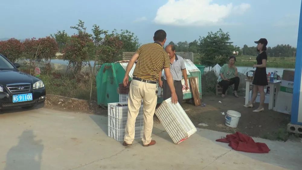 孝昌农业发展现状简介,稻虾第一村产业示范园