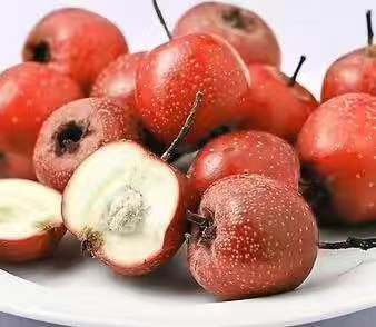 孕期这些食物孕妈妈千万不要碰,怀孕期间哪些东西不能吃容易流产