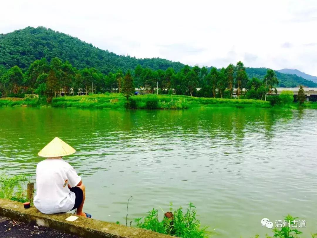 千年古村平阳县鸣山村古城夜景,平阳昆阳鸣山古村落