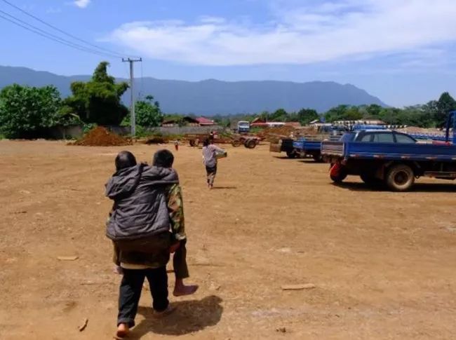 师仁小说结局,师仁与墩子花絮