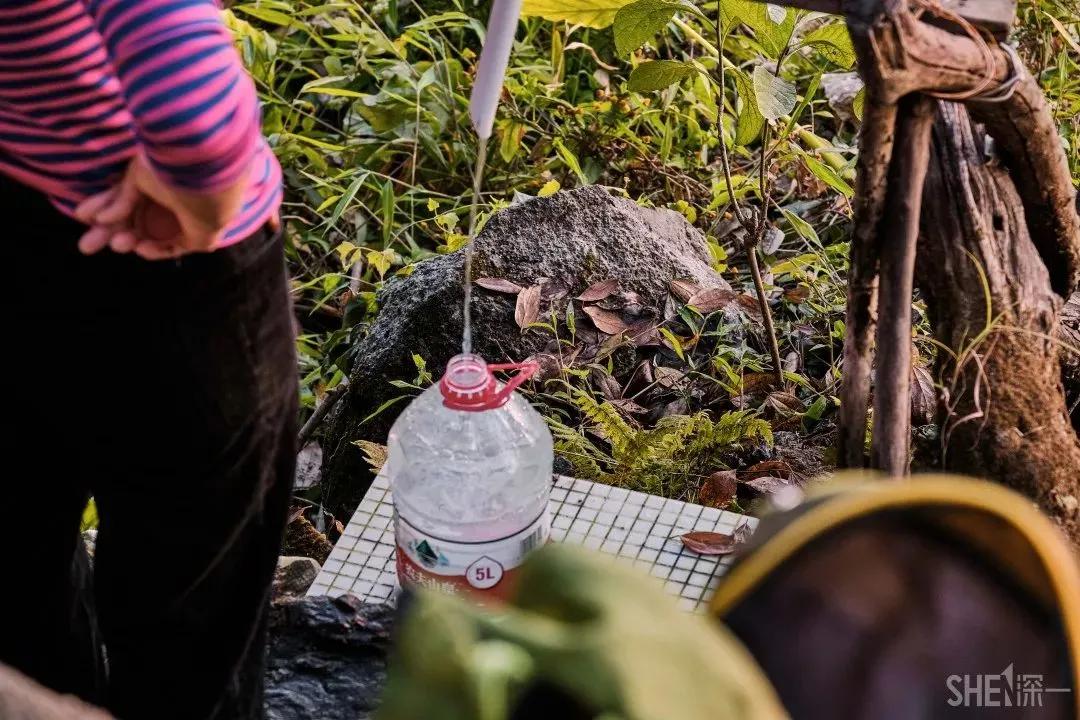 深圳原始登山道视频,深圳首个手工木栈道