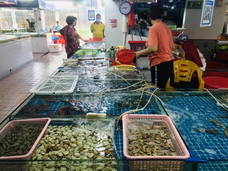 深汕高速公路鲘门服务区下一站,深汕服务区离鲘门服务区有多远