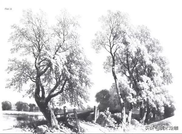 静物素描风景图临摹,简单又好画的彩铅素描风景图