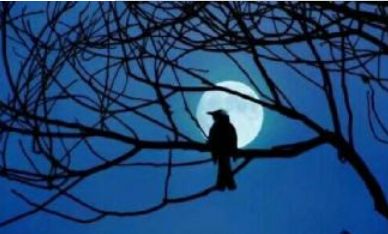 管恩锋最新品读好诗词,管恩锋