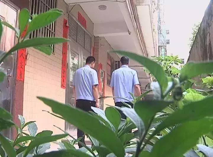 以案说法女网友,被女网友骗20万的真实案例