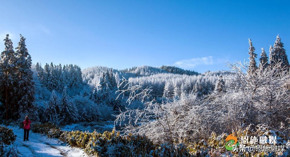 李伦英：用镜头记录家乡的美丽