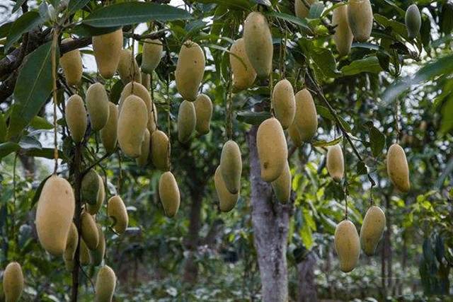 云南十六个州市的代表特色菜,云南省16州市特产排名