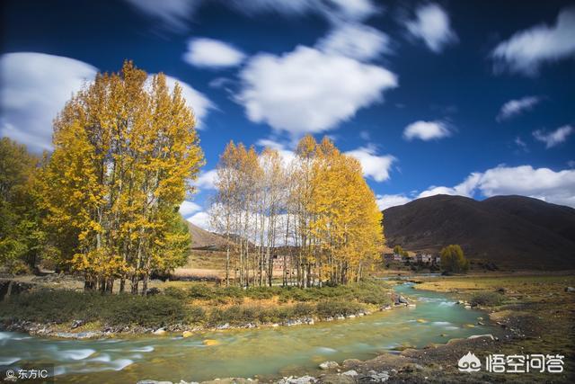 川藏线租车自驾游10天花费多少钱,川藏线租车350一天