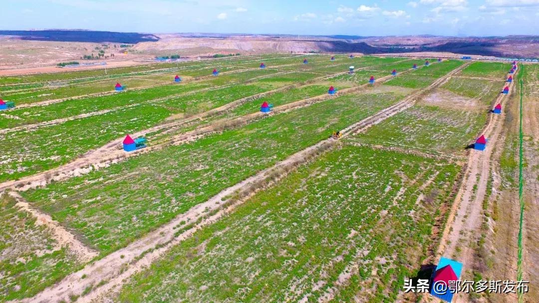 中水上山！东胜这座矿山堪比“花果山”！