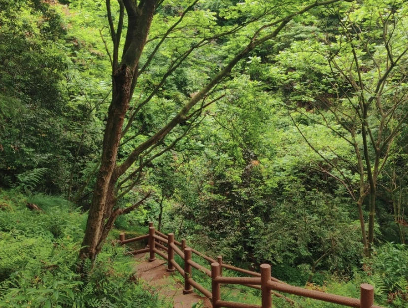 成都露营遛娃抓蝌蚪,成都周边避暑遛娃