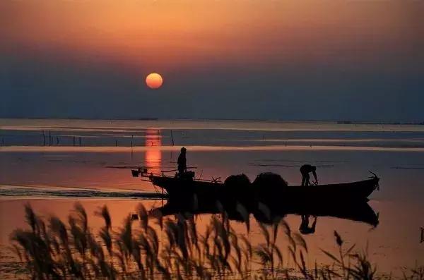 苏州五一不知道去哪里玩,五一不知道去哪就去苏州