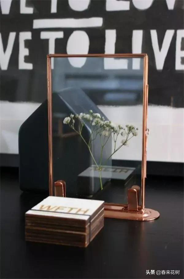 植物标本如何做简单又好看,植物能做什么手工