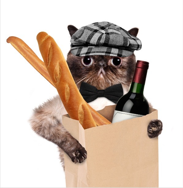 卖米的文案,卖猫的文案怎么写