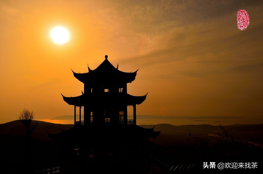 碧螺春出自于哪个地方的茶叶,碧螺春又名什么