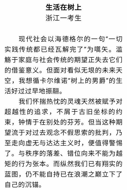 你觉得这篇作文该得多少分呢,上海受争议的满分作文