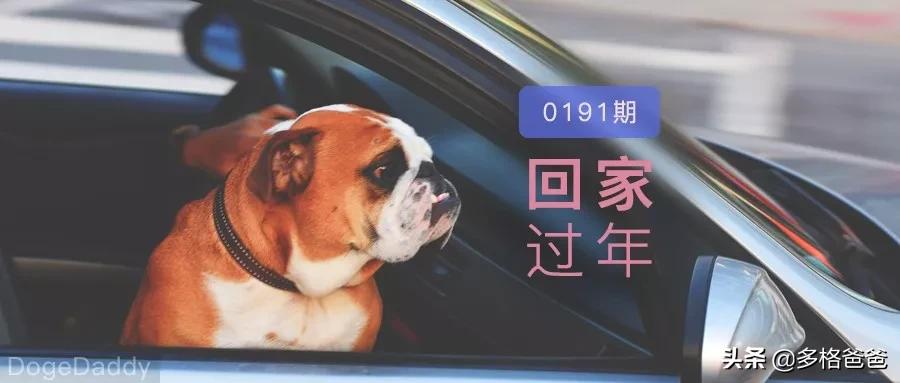 过年回家带狗狗怎么放车上,带狗狗回家过年怎么安置