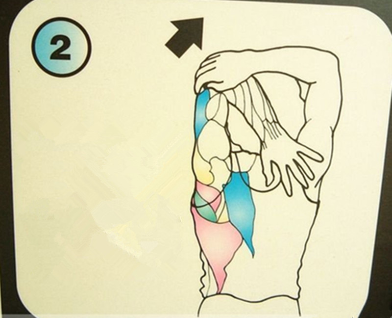 怎么拉筋不伤筋,身上的筋怎么放松