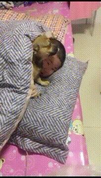 可爱搞笑图片可直接保存,搞笑图片现在的年轻妹纸真会玩啊