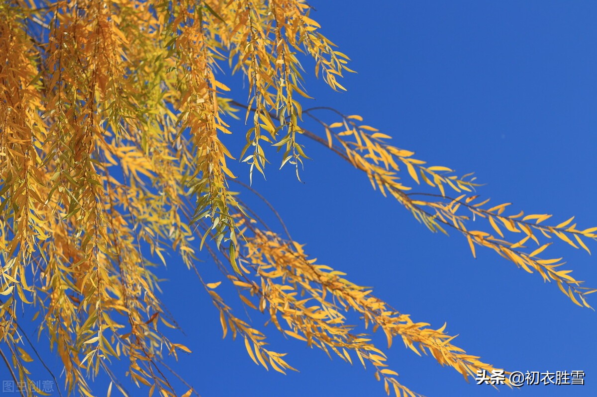 纳兰性德的绝情诗,纳兰性德悲秋诗