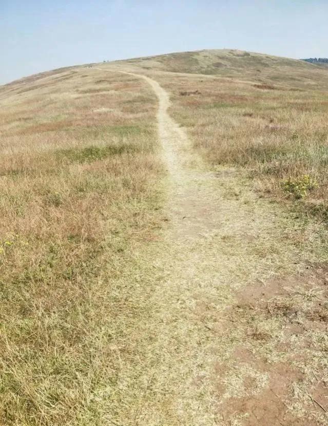 想不通就去爬山看海吧,呼伦贝尔大草原自驾游攻略