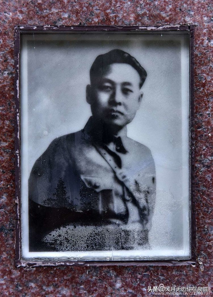 济南的法国梧桐,济南梧桐树美景