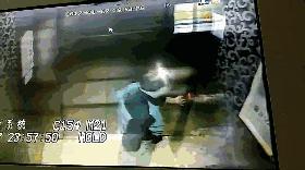 这只鹦鹉一直以为他是一只猴，所以每天都在重复做这个动作