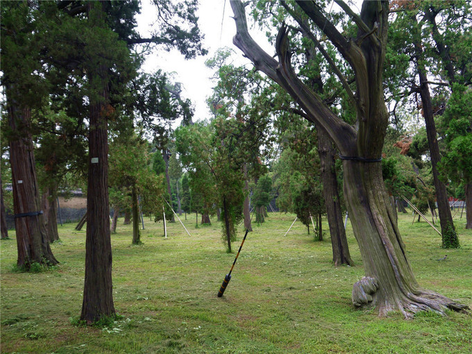 鏇查槣瀛斿簷鍥涘杞洖,鏇查槣瀛斿簷涓囦笘甯堣〃鍖鹃
