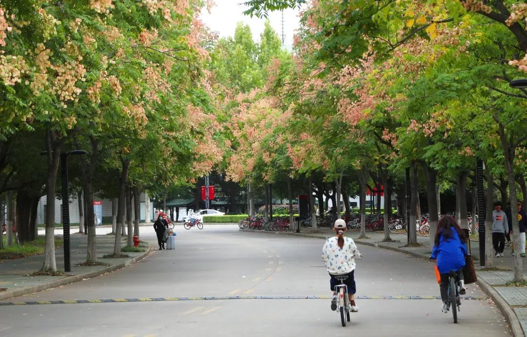 江苏省淮阴师范学院图片,江苏高校简介淮阴工学院