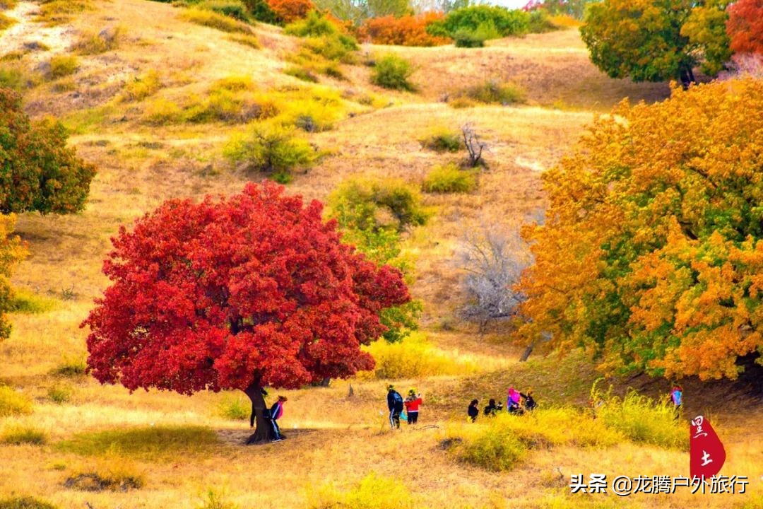 内蒙古最后的秘境！一脚跨3省，美了4季，高铁直达却低调了5000年​