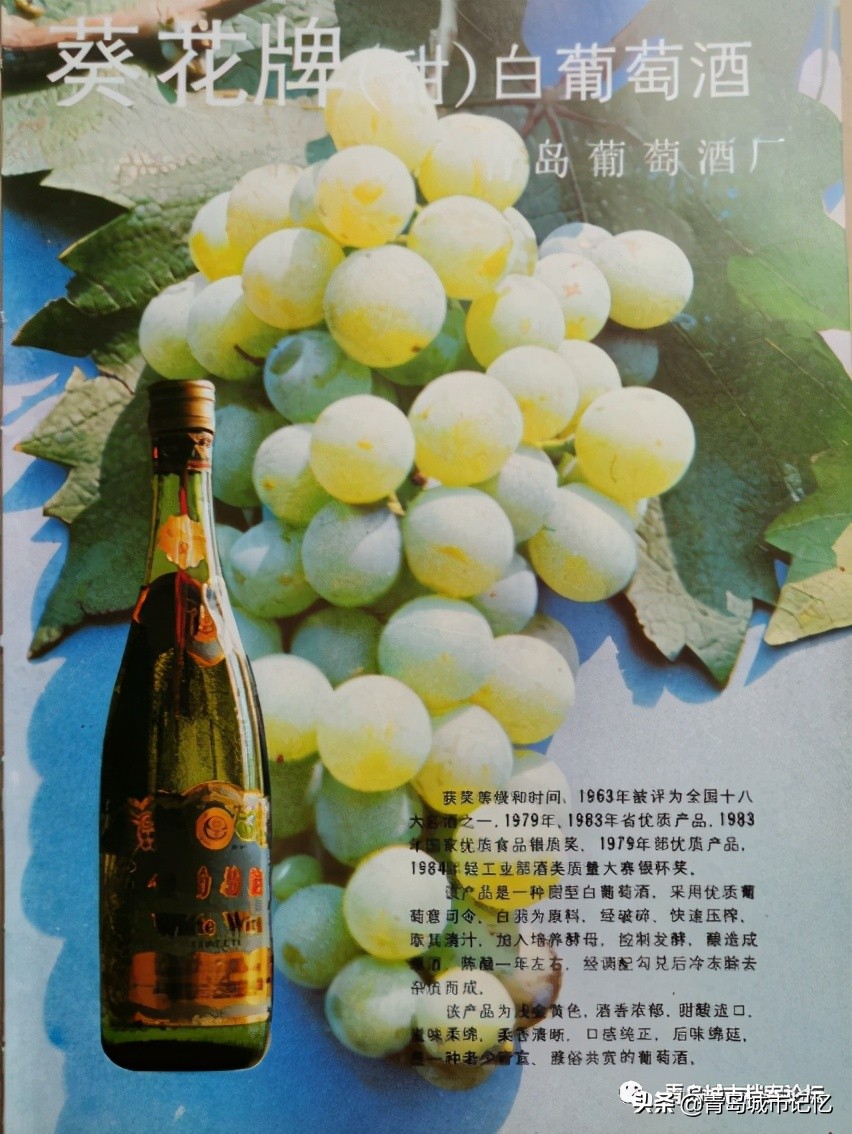 青岛的葡萄酒厂,1984年青岛的葡萄酒公司