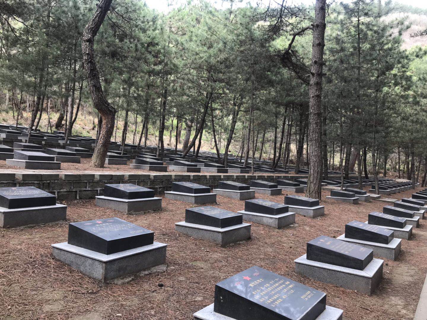 榆林烈士事迹 (陕西省烈士高志良)