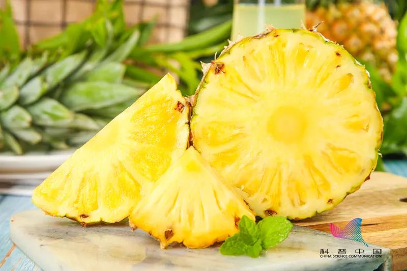 车厘子樱桃菠萝凤梨,车厘子樱桃猕猴桃奇异果