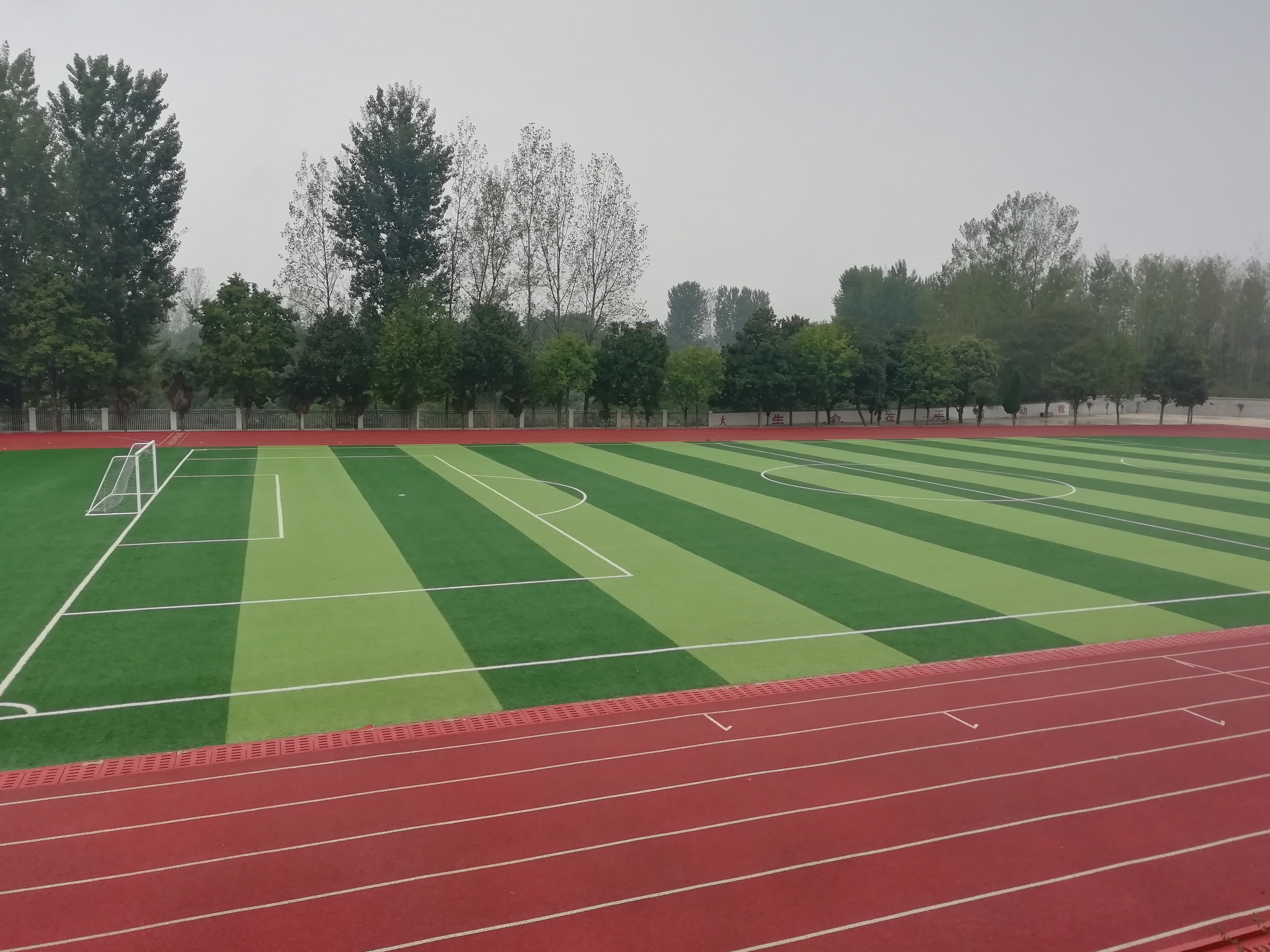 平桥区推进中小*运学**动场标准化建设，塑胶运动场比例达70%