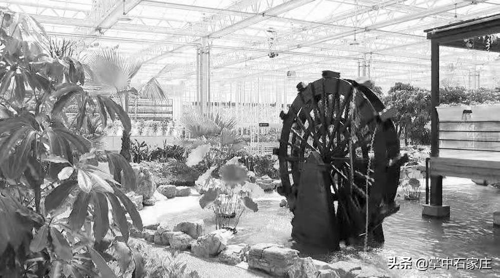 亲子采摘研学旅行,春播秋收万亩稻田研学之旅