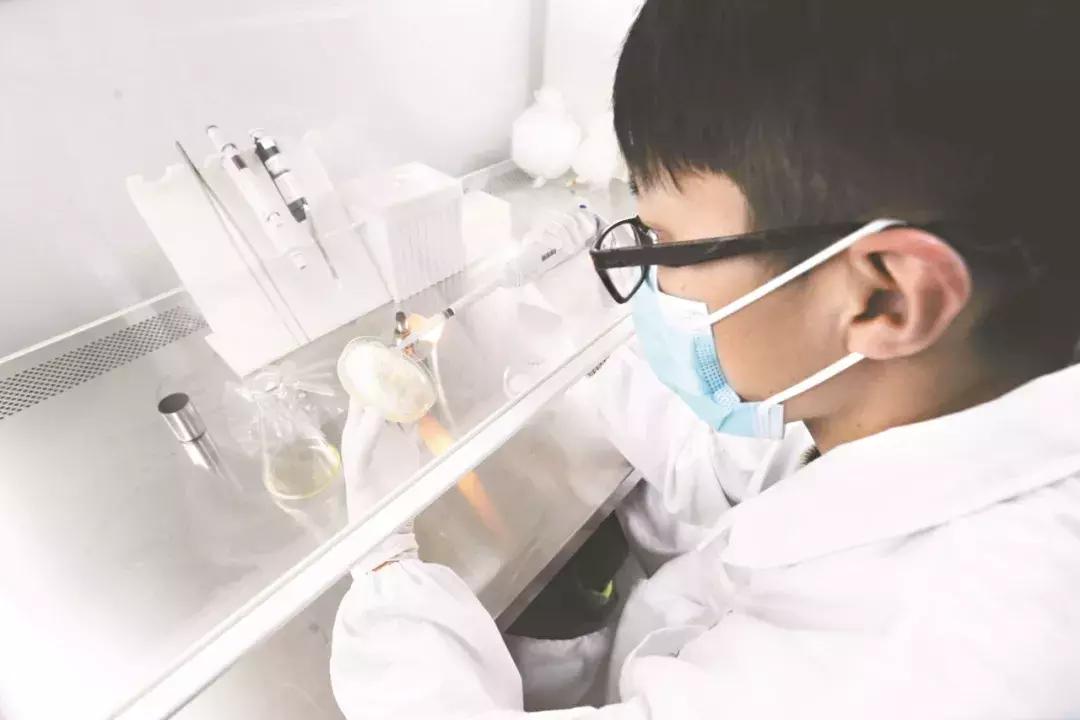 武汉以后会迎来机遇,武汉发展又要迎来新的爆发吗