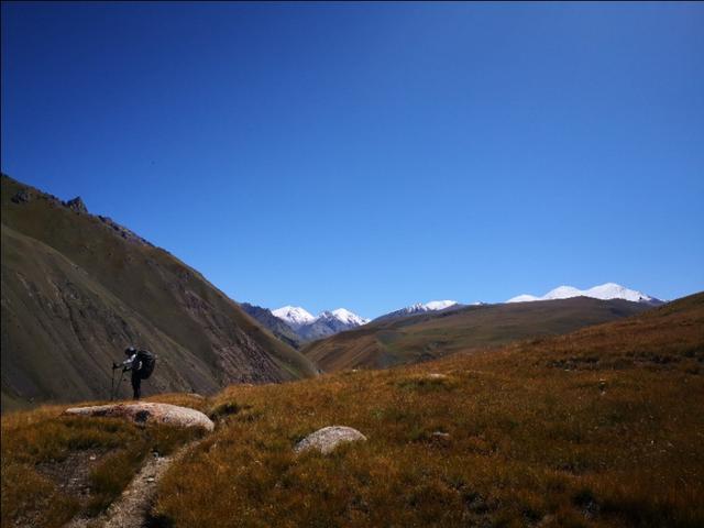 鐙煎鏃ヨ鐪熷疄鏁呬簨,鐙煎鏃ヨ