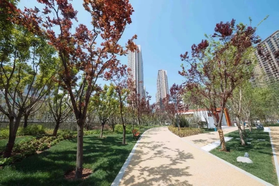 城南即将开放的公园,公园五一开放