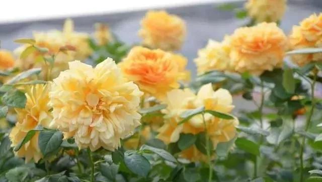 每天学习一点点女性小常识,每天学习一点点科普一下