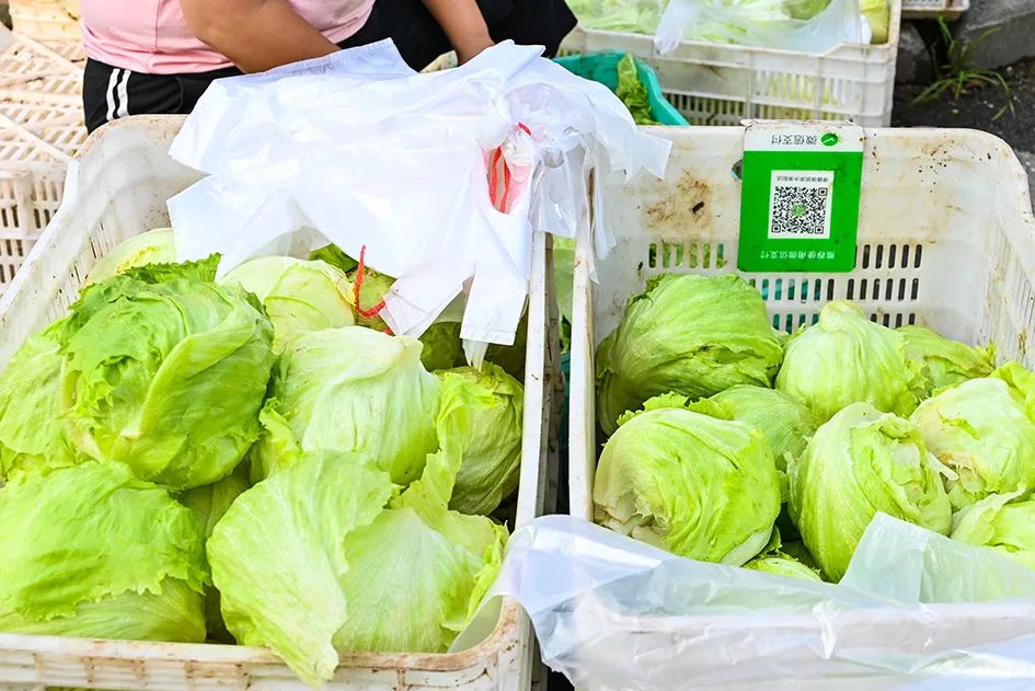 满满的烟火气逛大集真好玩,最值得逛的大集