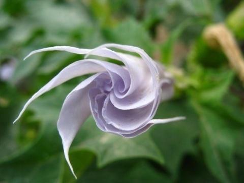 暗流涌动！从*汗蒙**药到“迷奸水”，暗地投放，正成为新型犯罪工具