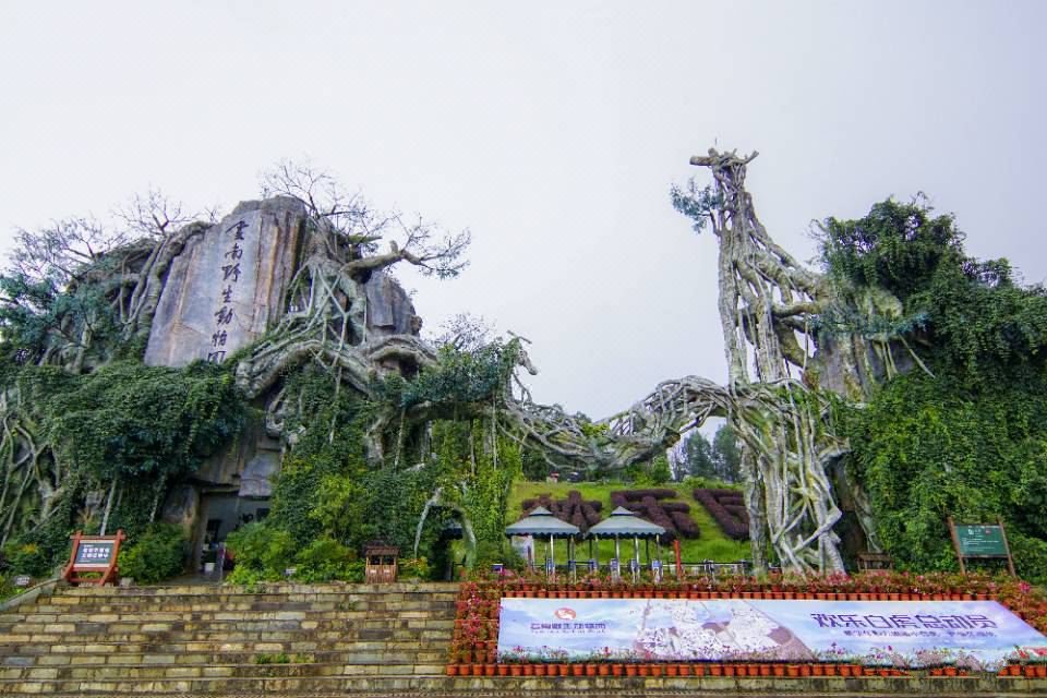 昆明有哪些景点值得去游玩呢,昆明有哪些旅游景点比较好玩的