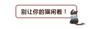 自家猫咪终于不再高冷懂得关心,为什么猫咪变得高冷了