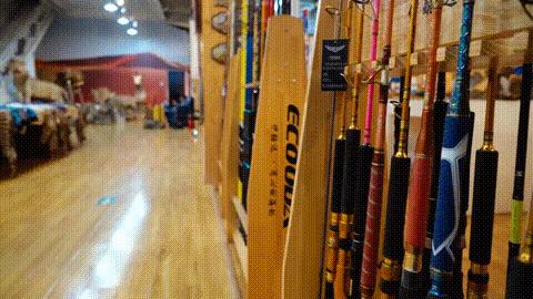 我知道钓鱼烧钱，但不知道我最后能烧掉北京两套房