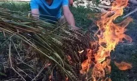 *疆新**也有很多“奇葩”的食物，有的看到反胃，有的念念不忘