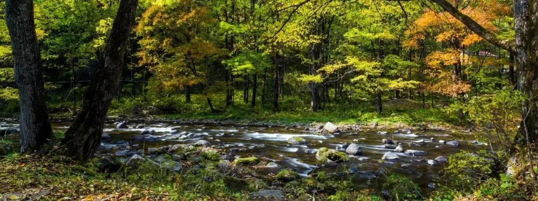 假期逛景区一大波优惠等着您,景点优惠活动视频