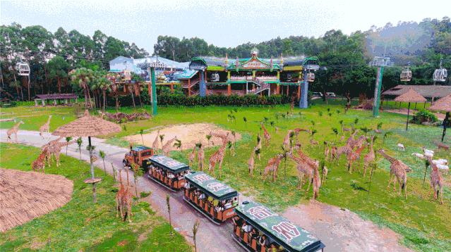 2019暑假珠海长隆亲子游攻略,广州长隆值得玩2天吗